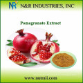pomegranate bark extract powder 40% Ellagic acid